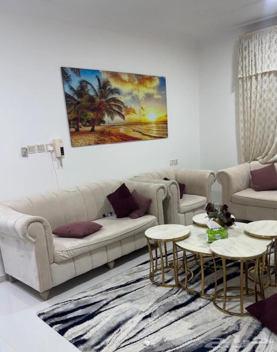 الوحه البيع64571272253313110