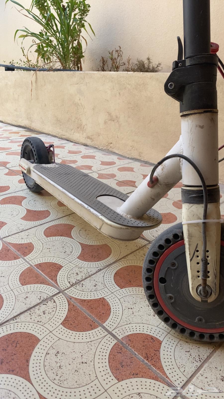 اسكوتر جديد بس يحتاجله كفرات64565647231361111