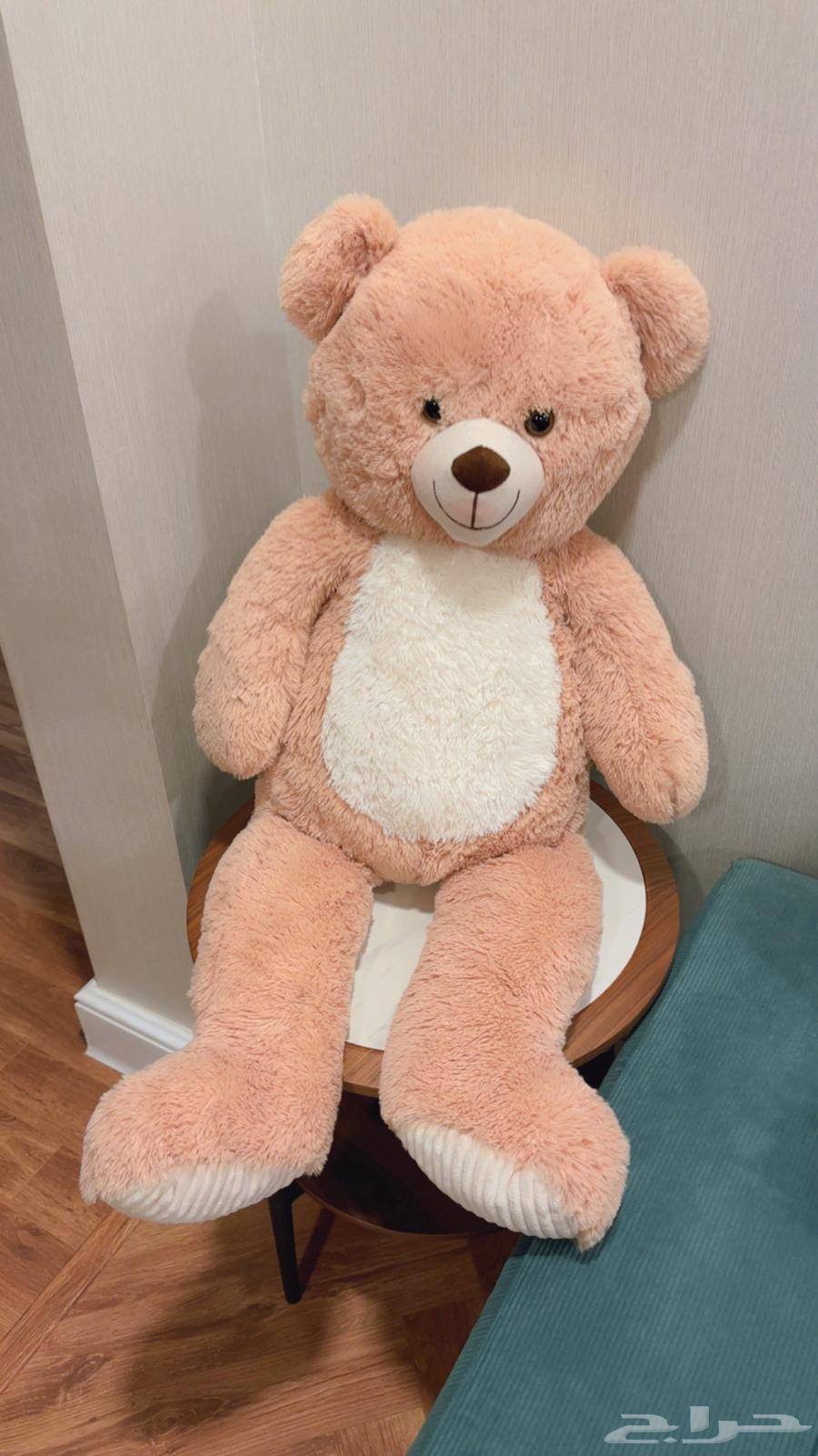 دب للبيع64563145744257111