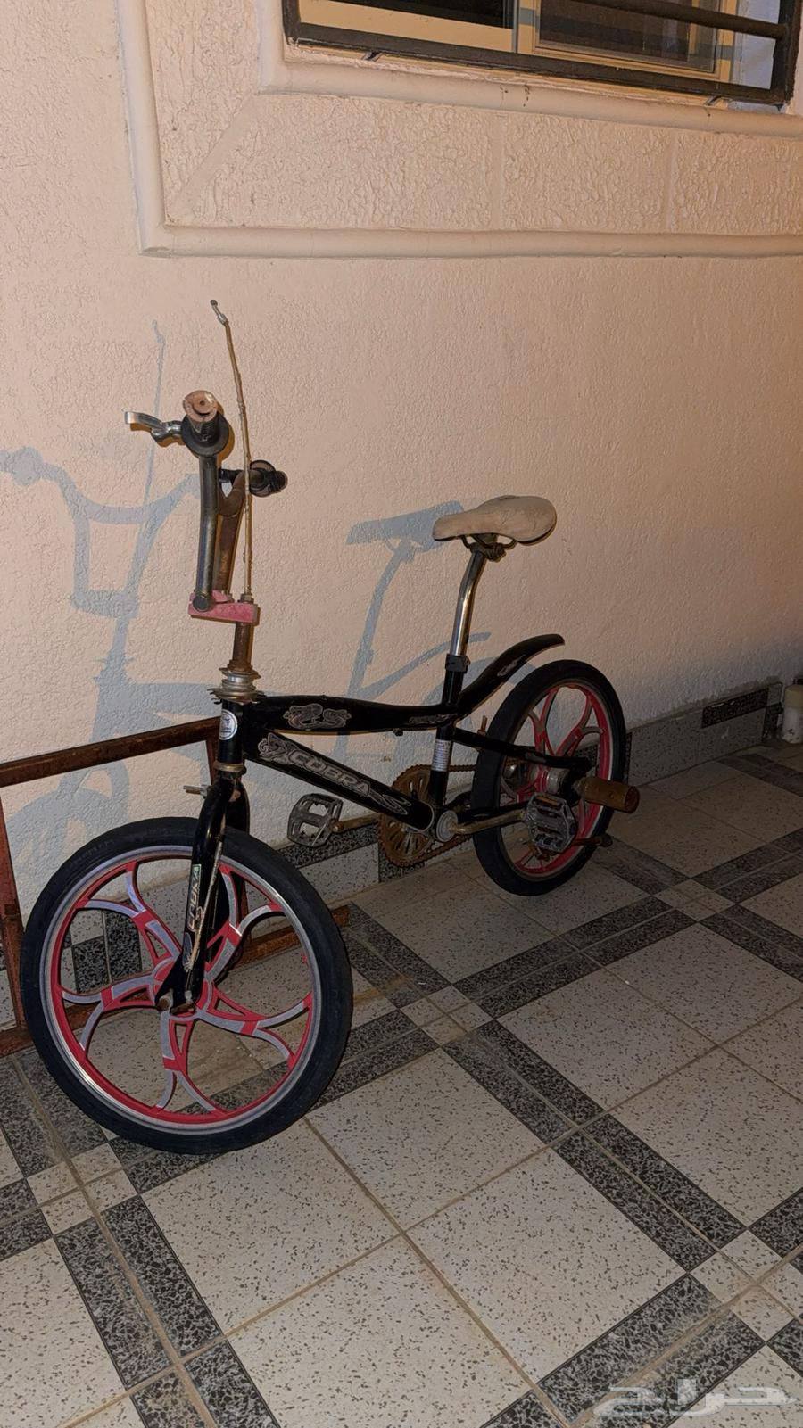 سيكل نظيف مقاس 2064569657791747110