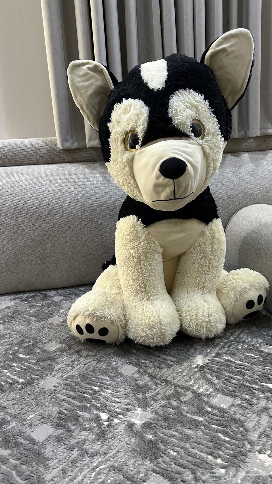 مجموعه من الدب الكبير ووسط موضحه بالصور البيع تفريد64567739099011114