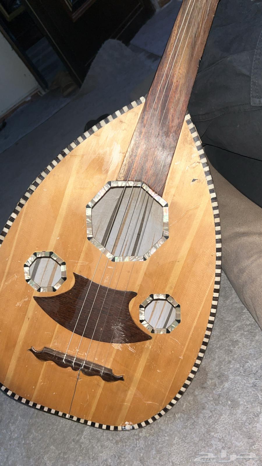 عود للبيع64569357177474110