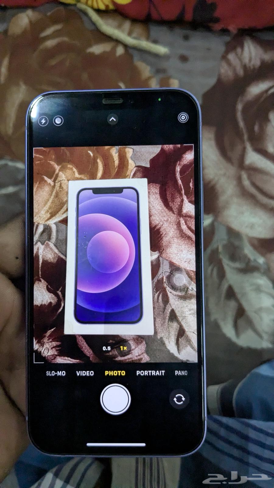 iPhone 12 regular64571258546050114