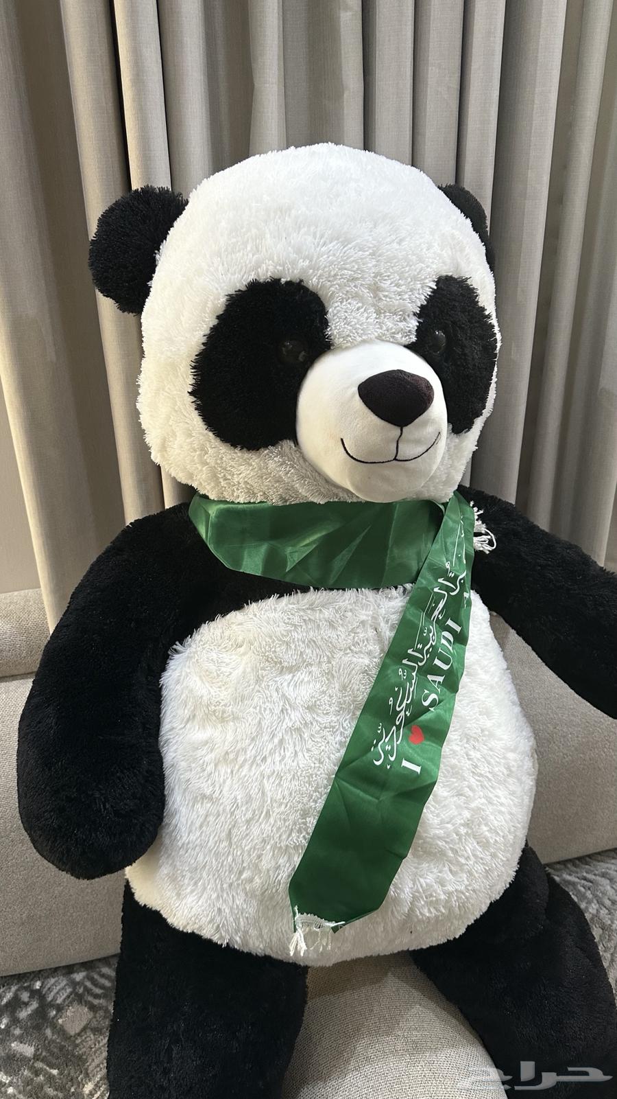 مجموعه من الدب الكبير ووسط موضحه بالصور البيع تفريد64567739099011111