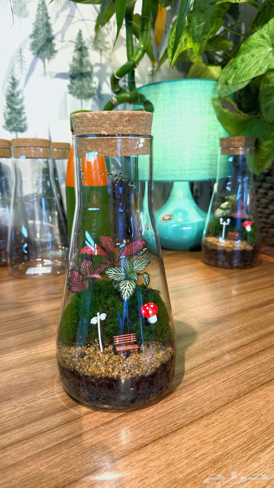 تيراريوم نباتات طبيعية 10064462171752193110