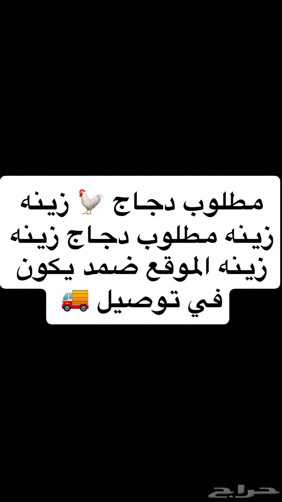 مطلوب دجاج   زينه زينه يكون في توصيل الموقع ضمد دجاج زينه64566203262593110