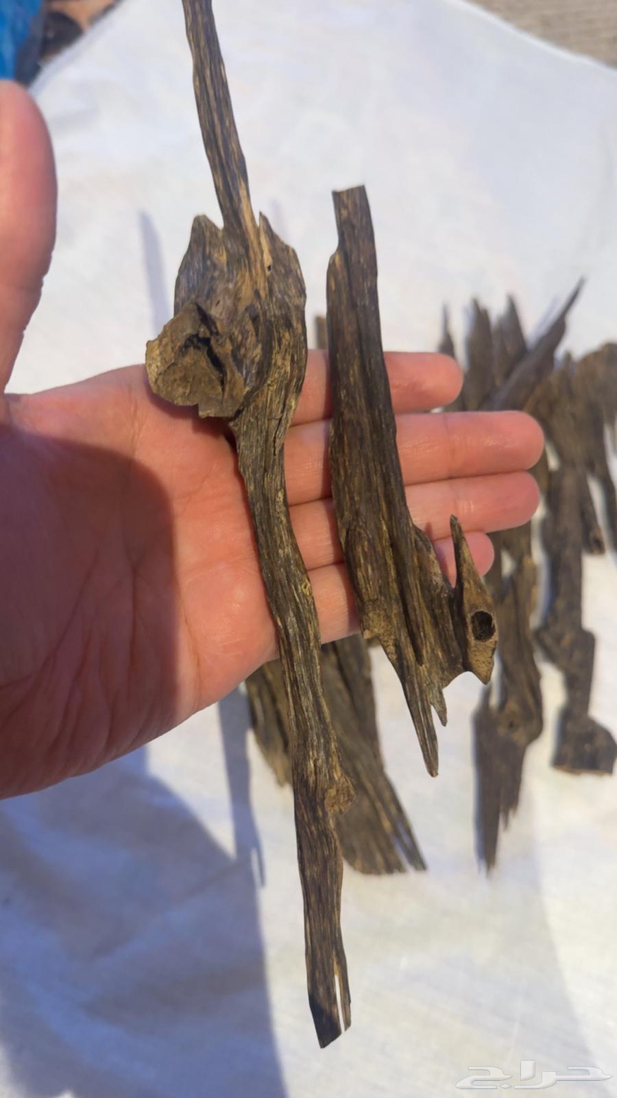 عود هندي طبيعي ملكي فاخر64564102379522112