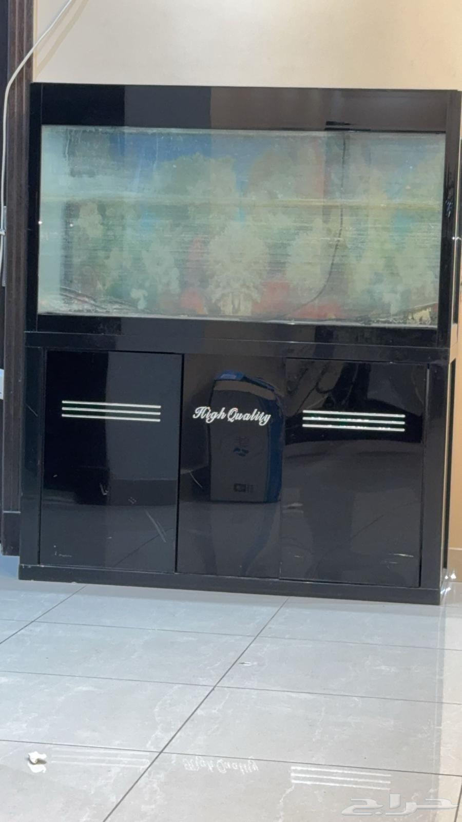 بيع مستعجل حوض سمك كبير في حالة ممتازة جدا64568865830529111