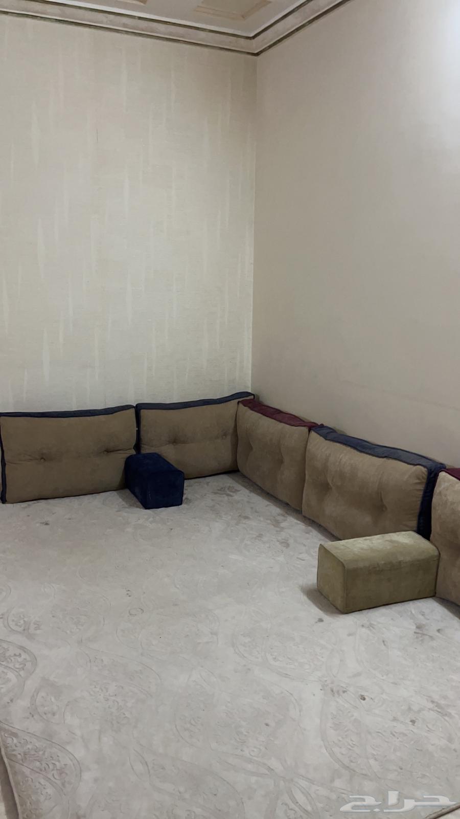 Masand64563423197313111