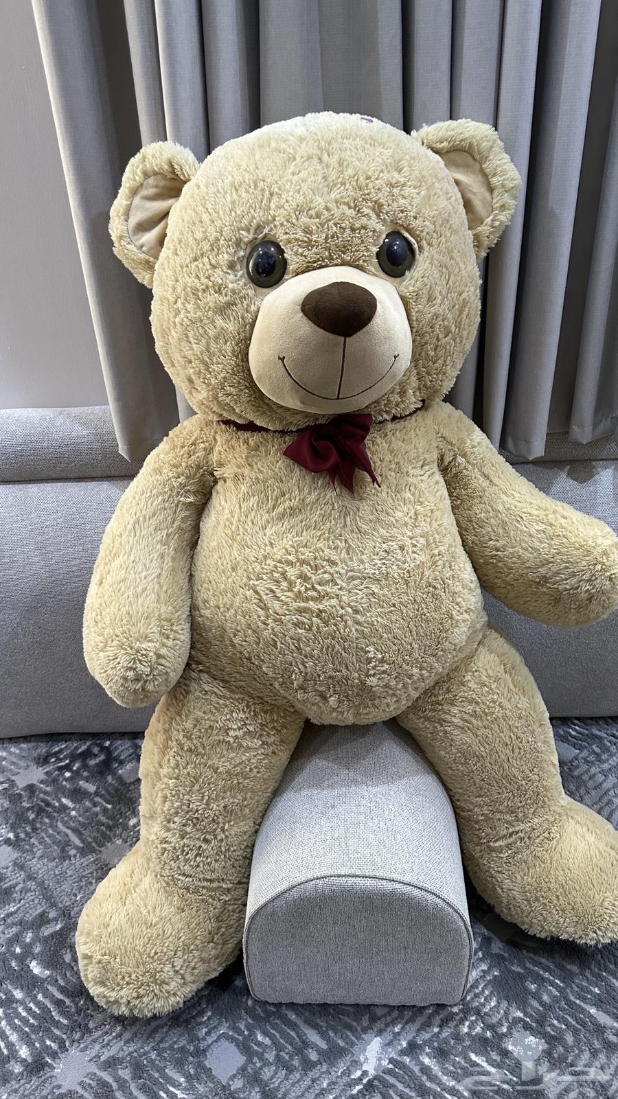 مجموعه من الدب الكبير ووسط موضحه بالصور البيع تفريد64567739099011112