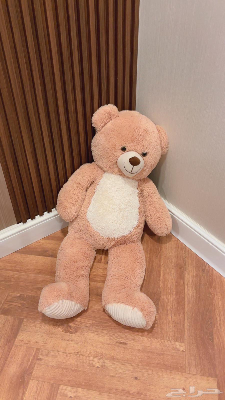 دب للبيع64563145744257110