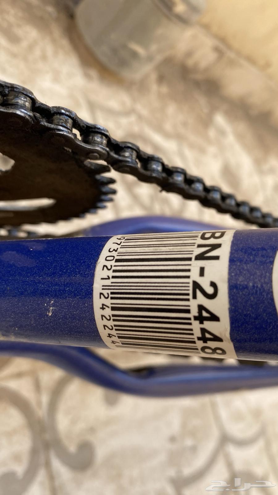 سيكل كوبرا 2464565298154243114