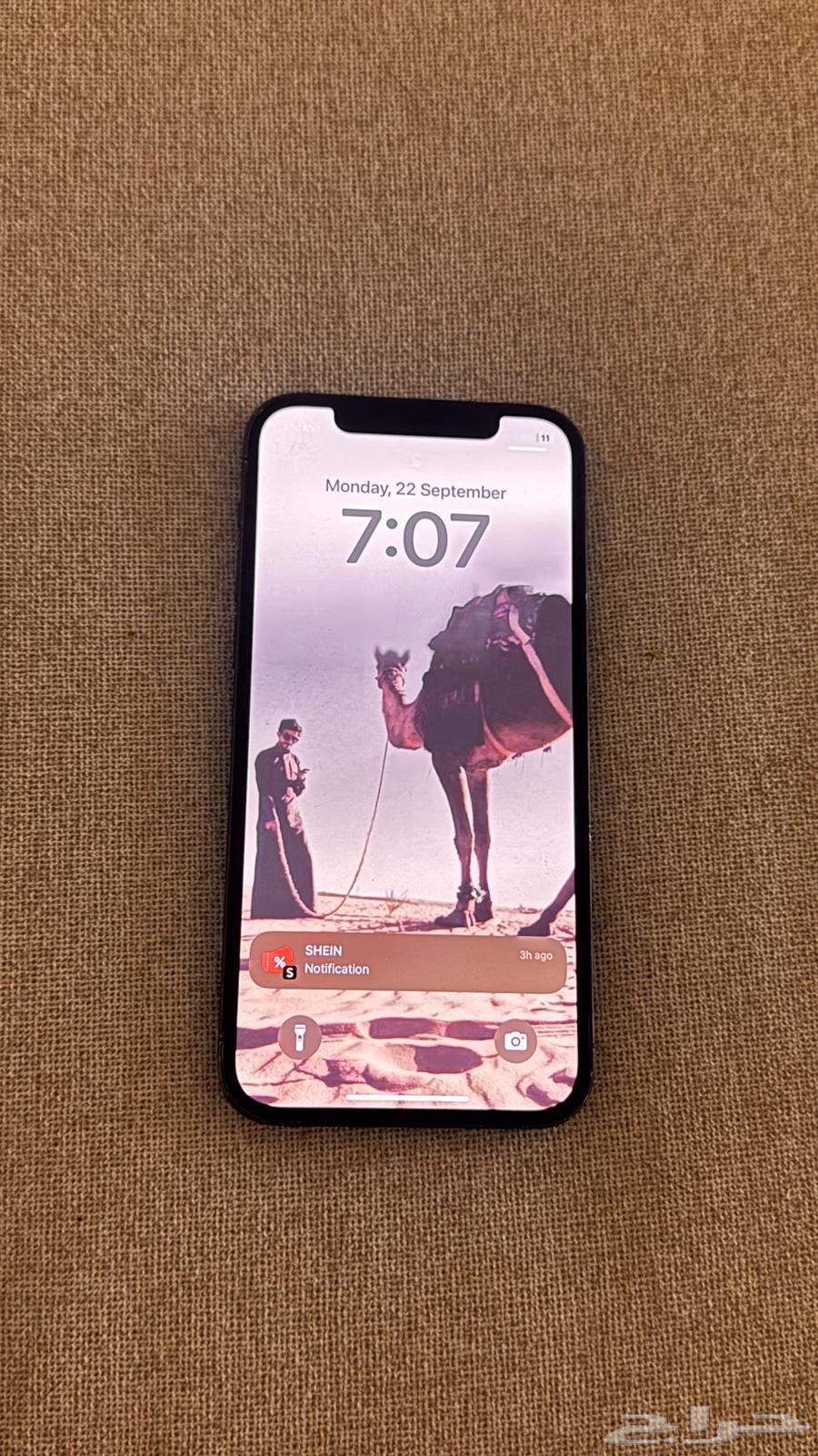 iPhone 1264569206477059112