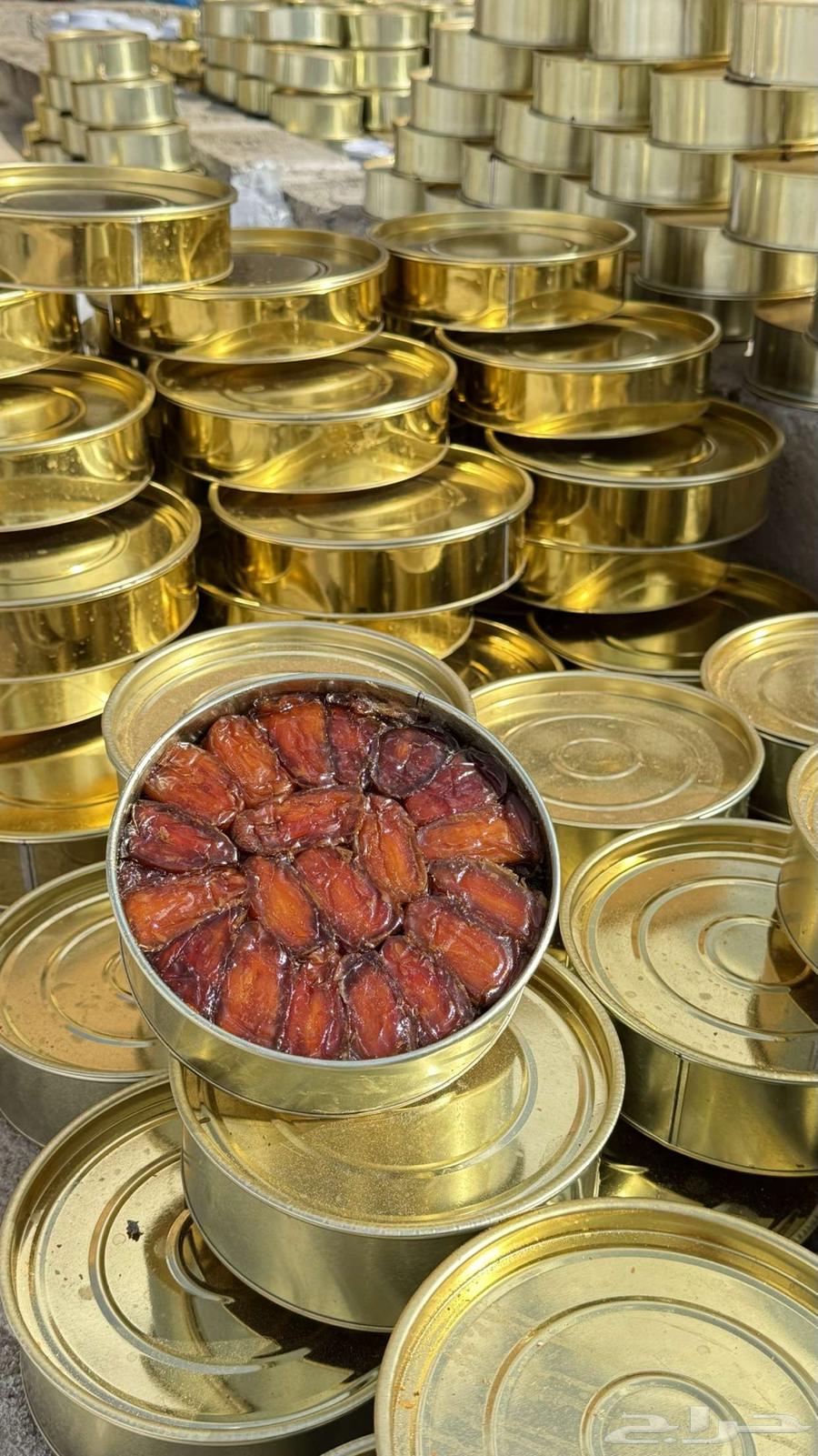 للبيع تمر صفري64569698882562113