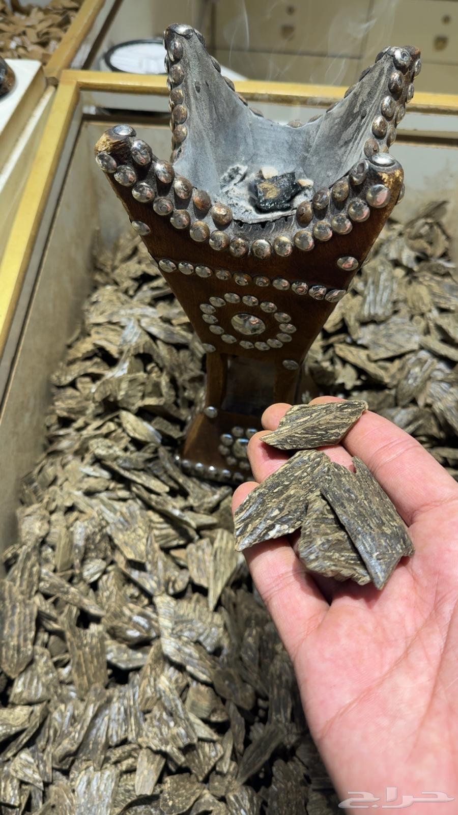 عود الكلمنتان   عرض اليوم الوطني 9564565953623811112