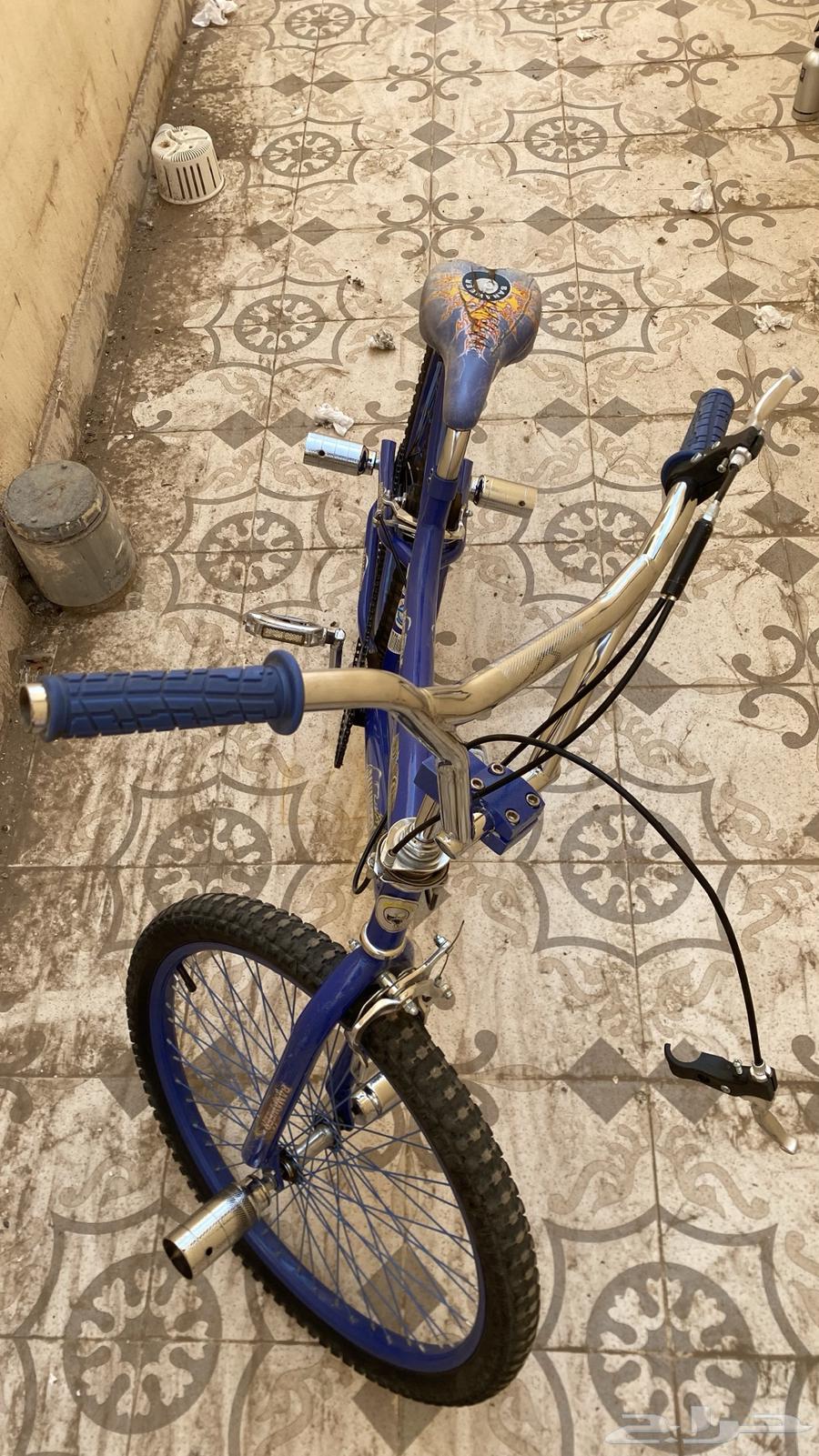 سيكل كوبرا 2464565298154243112