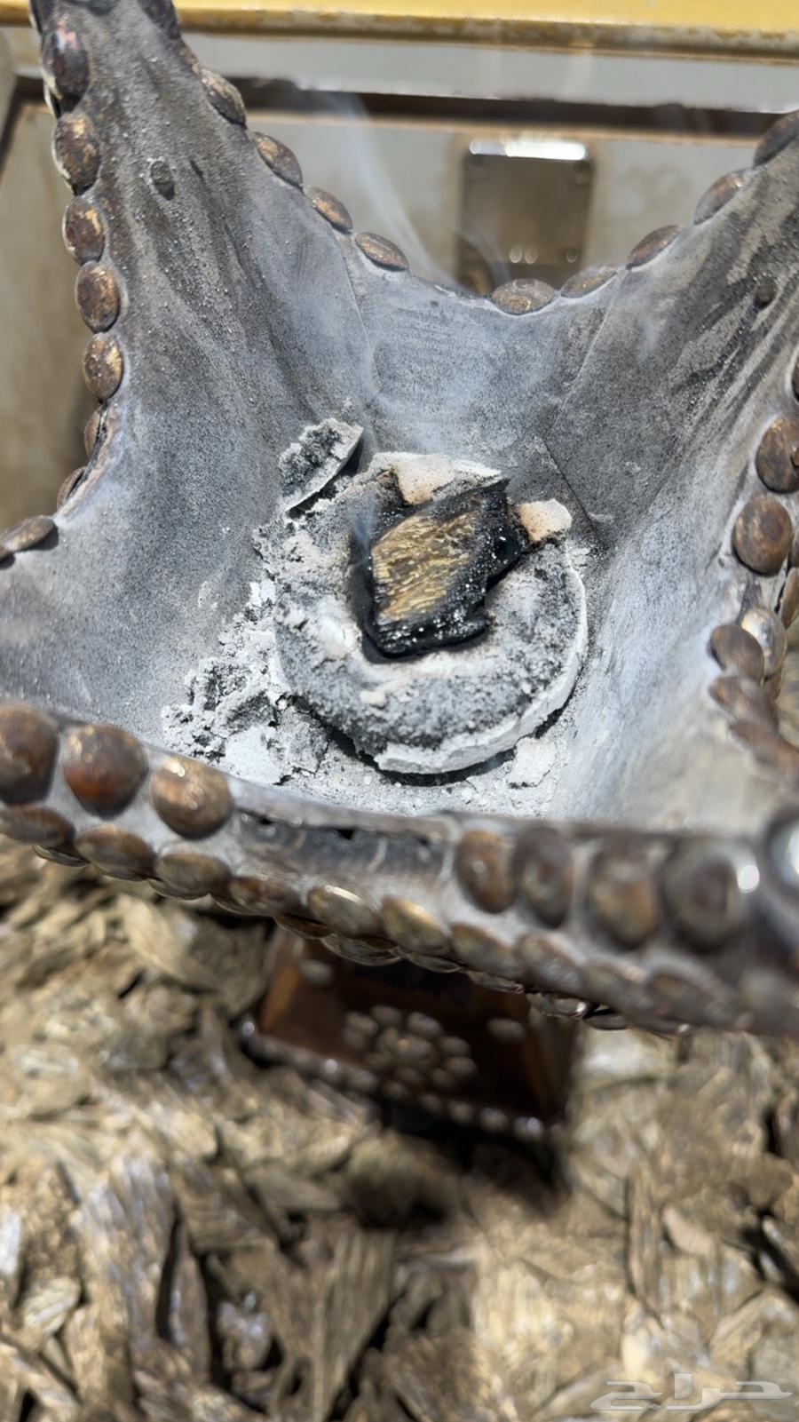 عود الكلمنتان   عرض اليوم الوطني 9564565953623811110