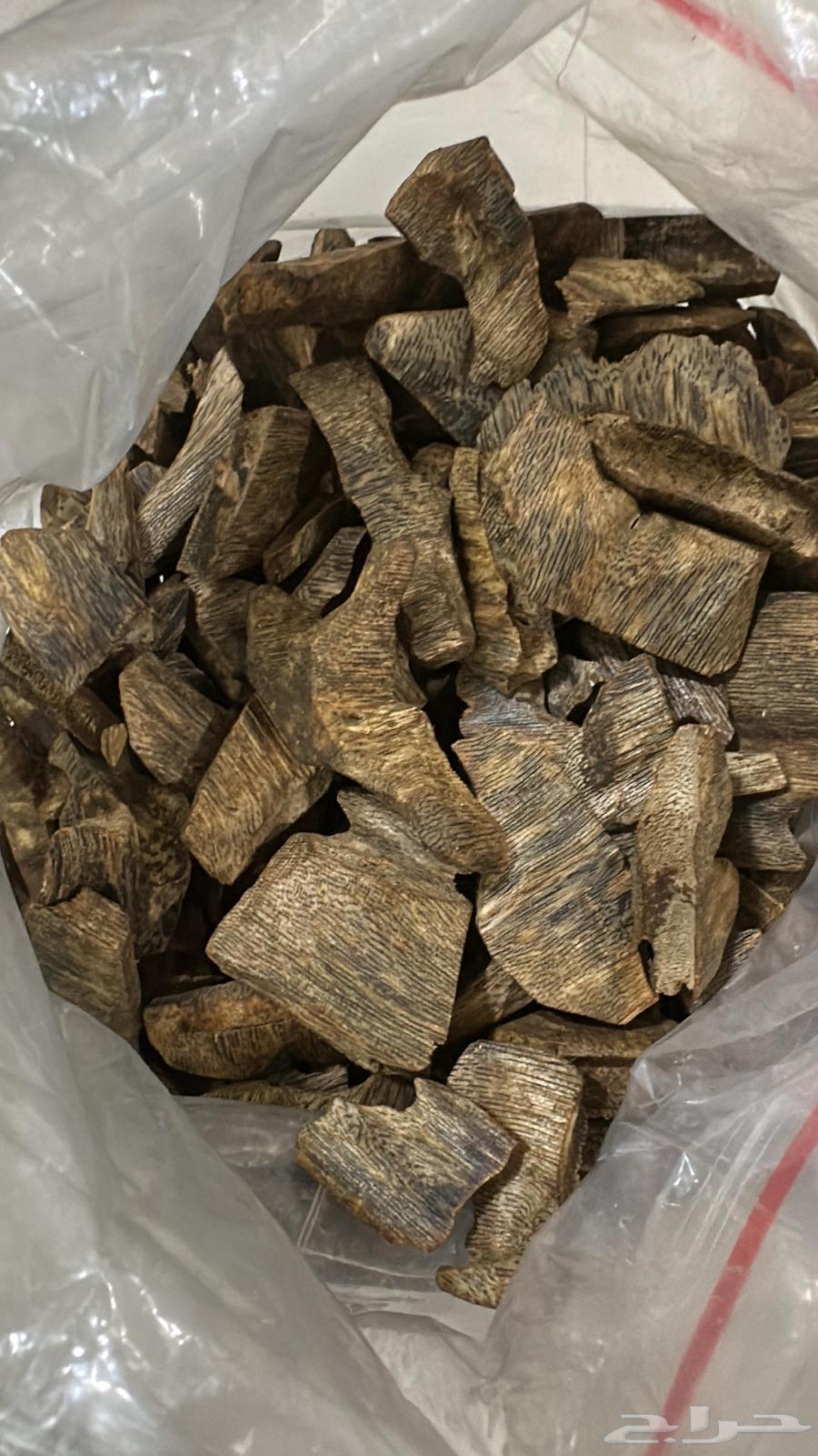 عود كينام الطبيعي اعلى الجودات لدينا دبل سوبر جودة فائقة64570108053122113