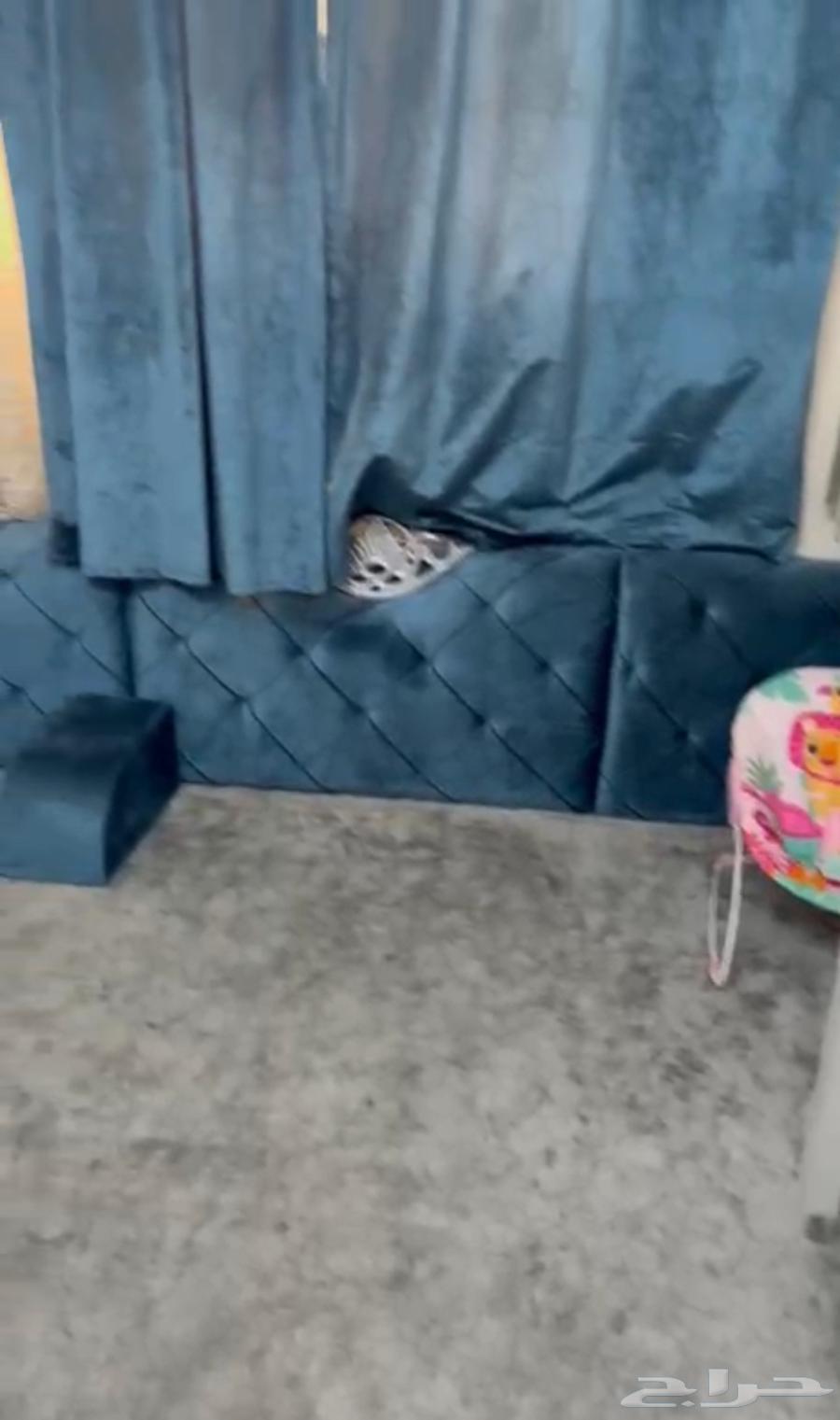 مساند نظيفة للبيع64565340054146112