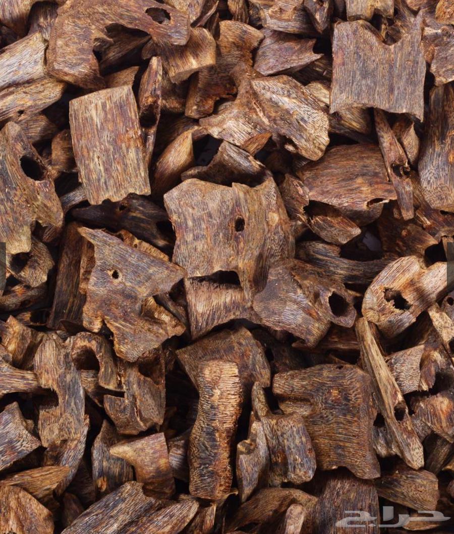 عود كينام الطبيعي اعلى الجودات لدينا دبل سوبر جودة فائقة64570108053122110