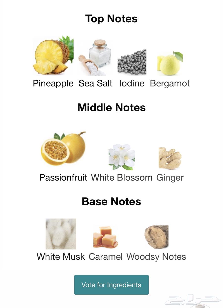 عطر لوماري بورتهول   loumari porthole64568784081411111