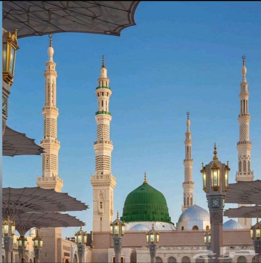 قروب مستعمل اهل المدينة64563936853121110