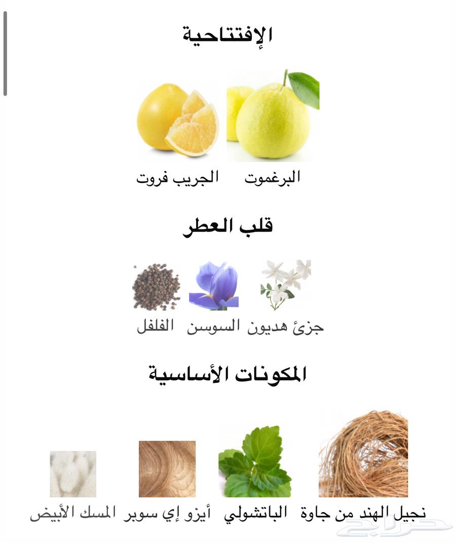 عطر ديب اوشن من بريشيوس بديل اوراج LV64567184144898112
