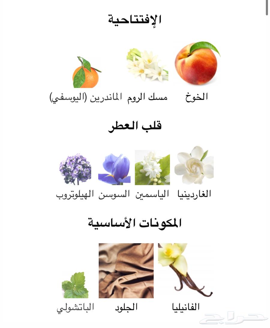 هاندريد سايلنت وايز من نيشاني64564949808003111