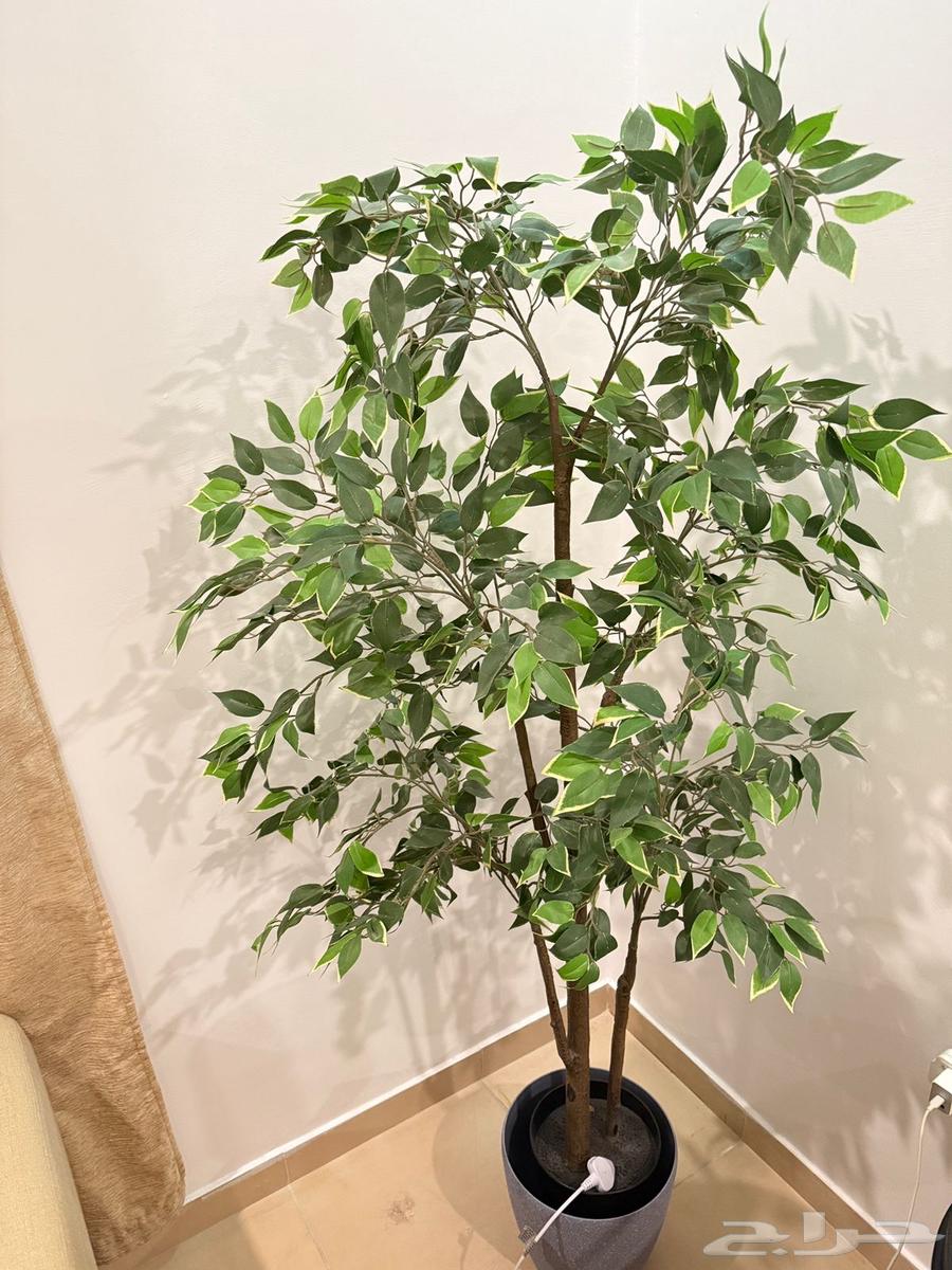 Artificial tree64567337510402112