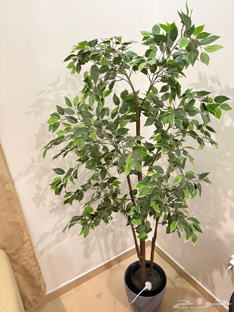 Artificial tree64567337510402111