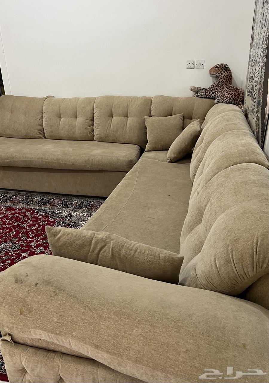 Sofa and dining table64562671184385113