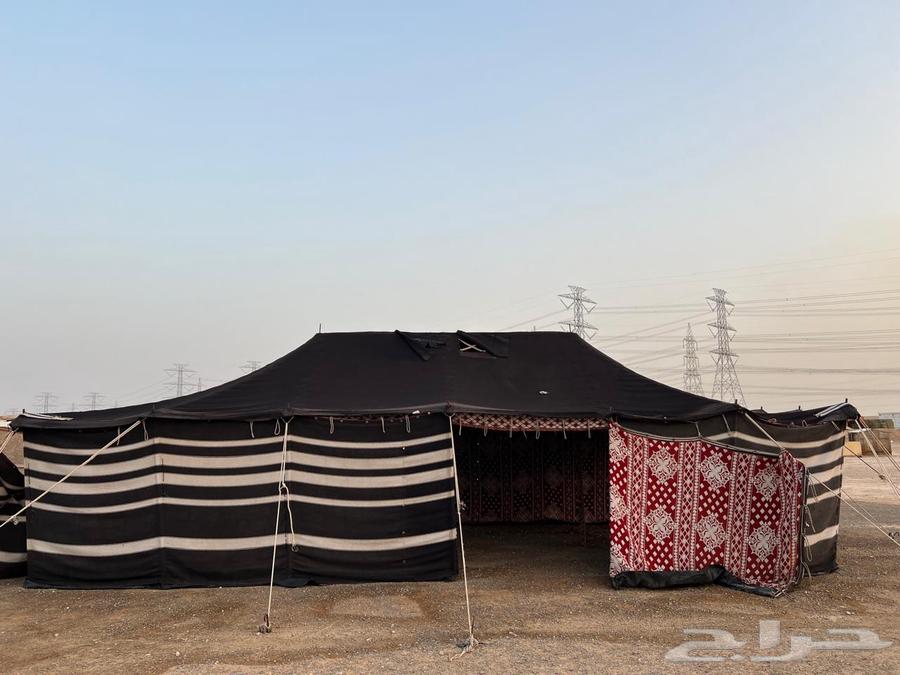 بيت شعر مبطن64570517763458112