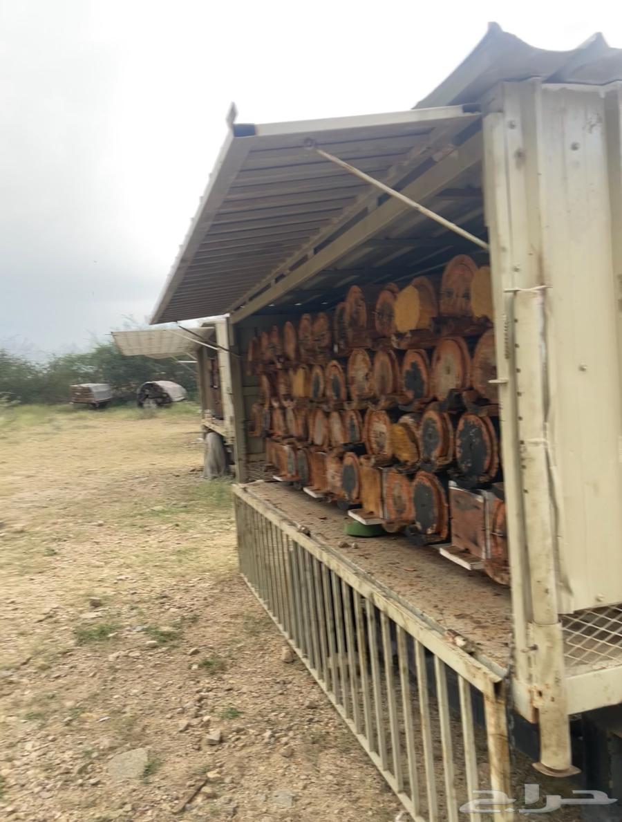 Fresh Pure Mountain Honey Collected Personally from My Beehive64571010966659114