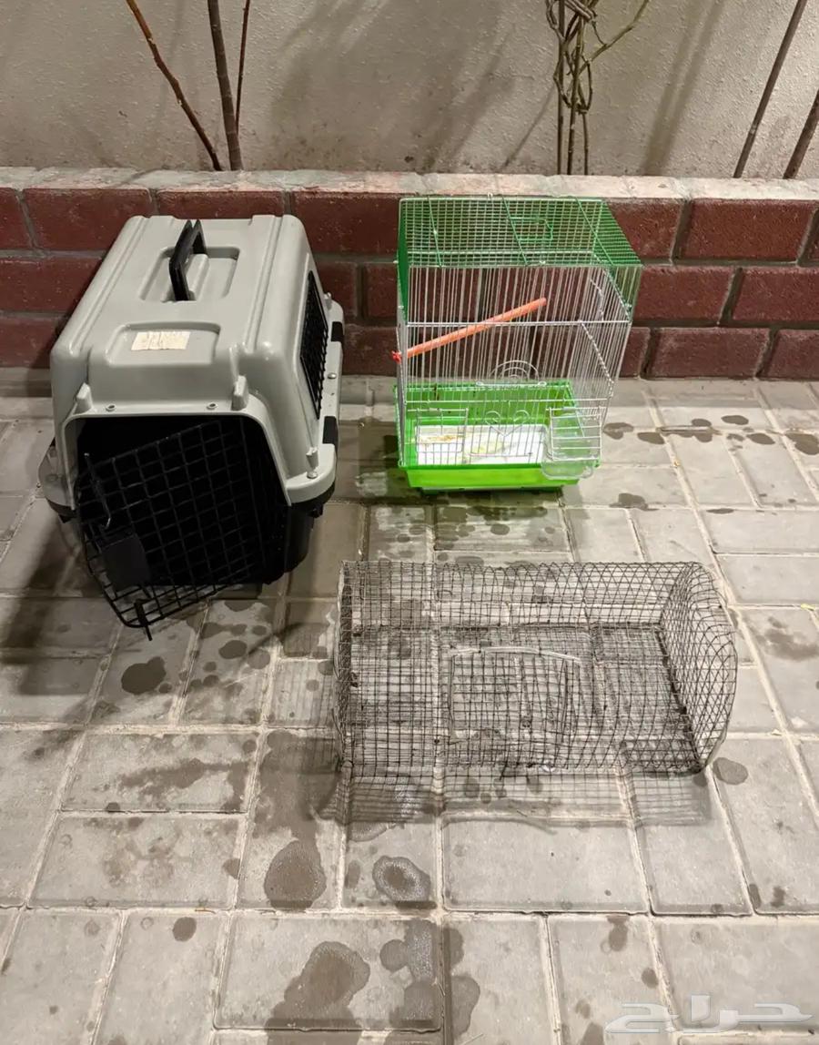 اقفاص للبيع الكل 50 ريال64570942365443110