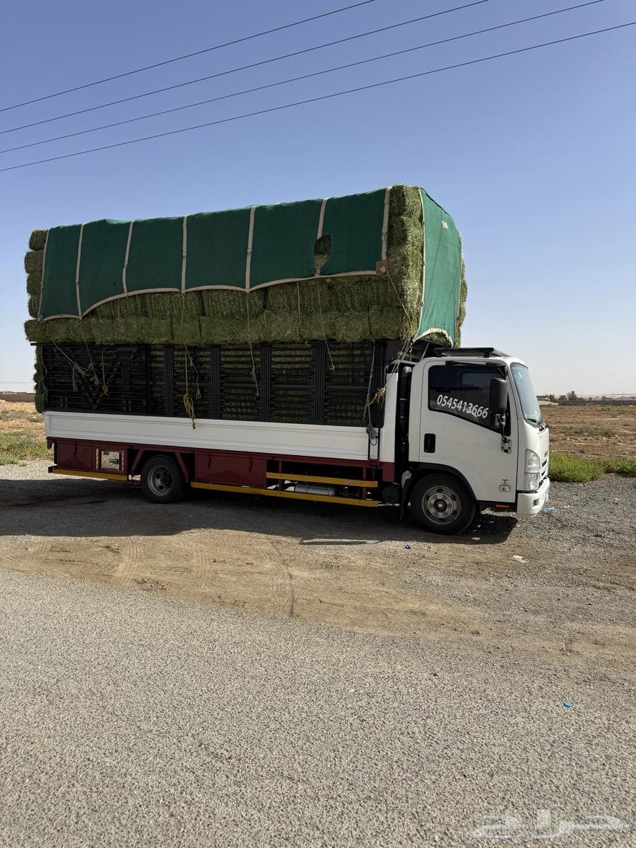 بلوبنك ناعم تلبين جديد64565494394369110