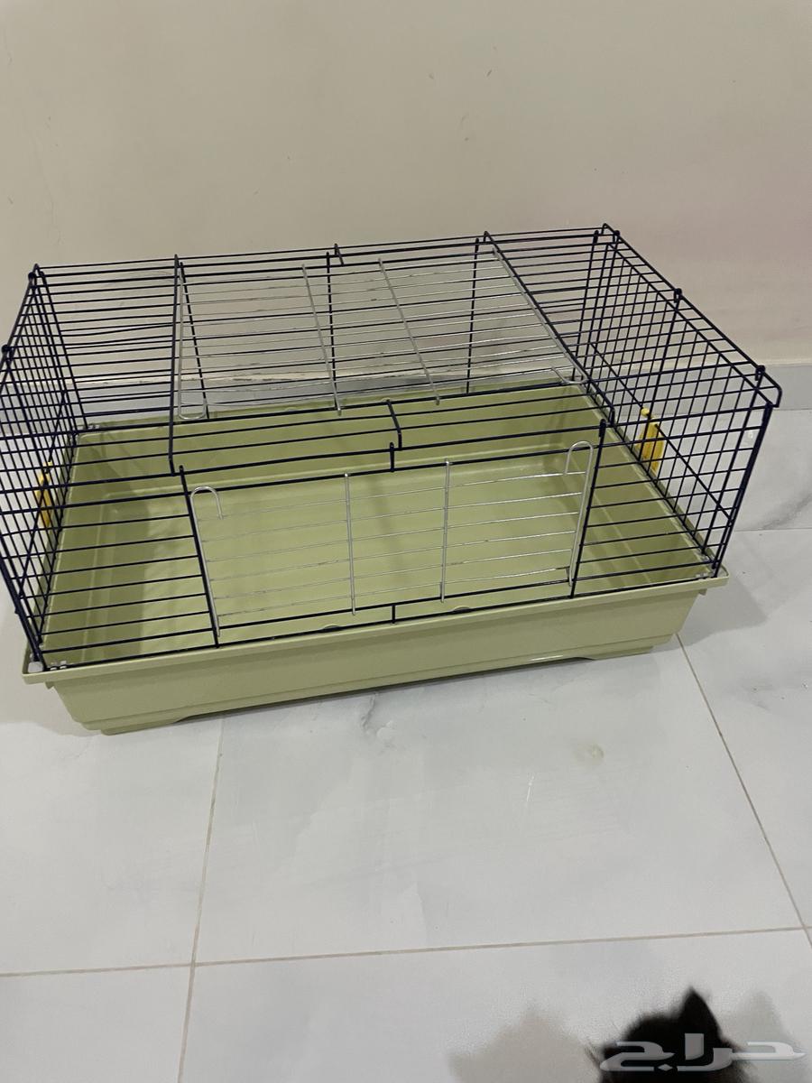 قفص للبيع (قطط  هامستر  ارانب)64566893719169110