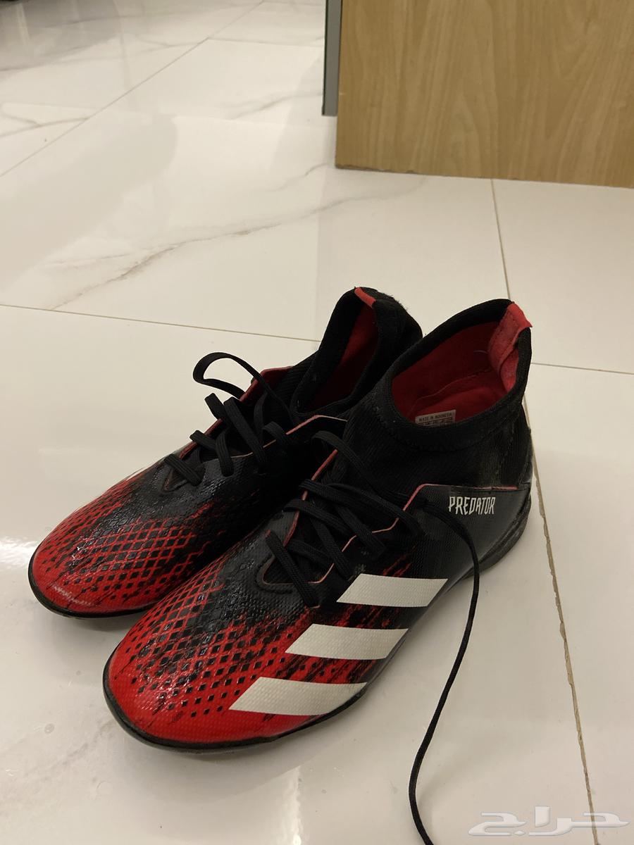 حذاء كورة بريداتور من شركة اديداس مستعمل64562754771970110