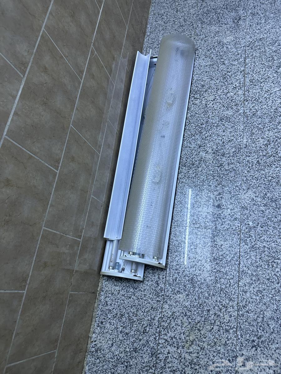 5 clean used washbasins and a set of bulbs64569562599939113