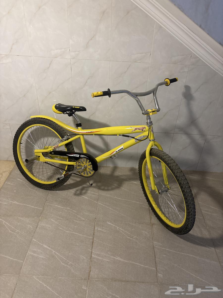سيكل كوبرا مقاس 2464570298984833111