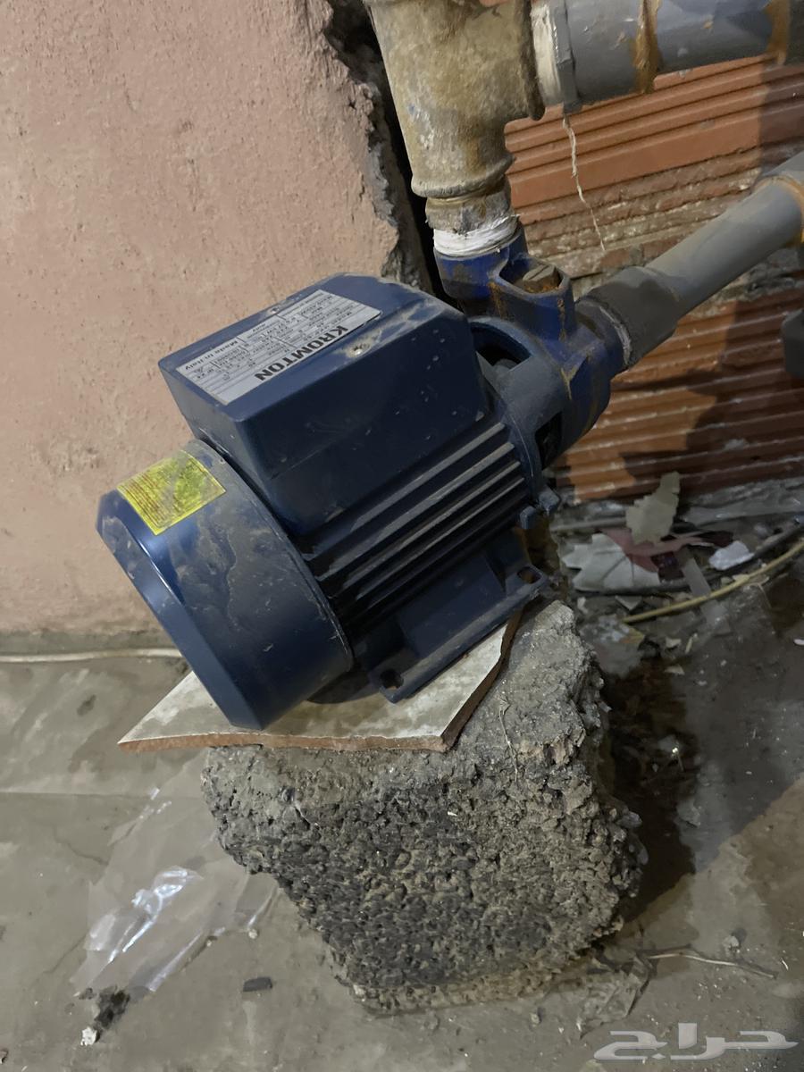 دينو للبيع64570012310017110