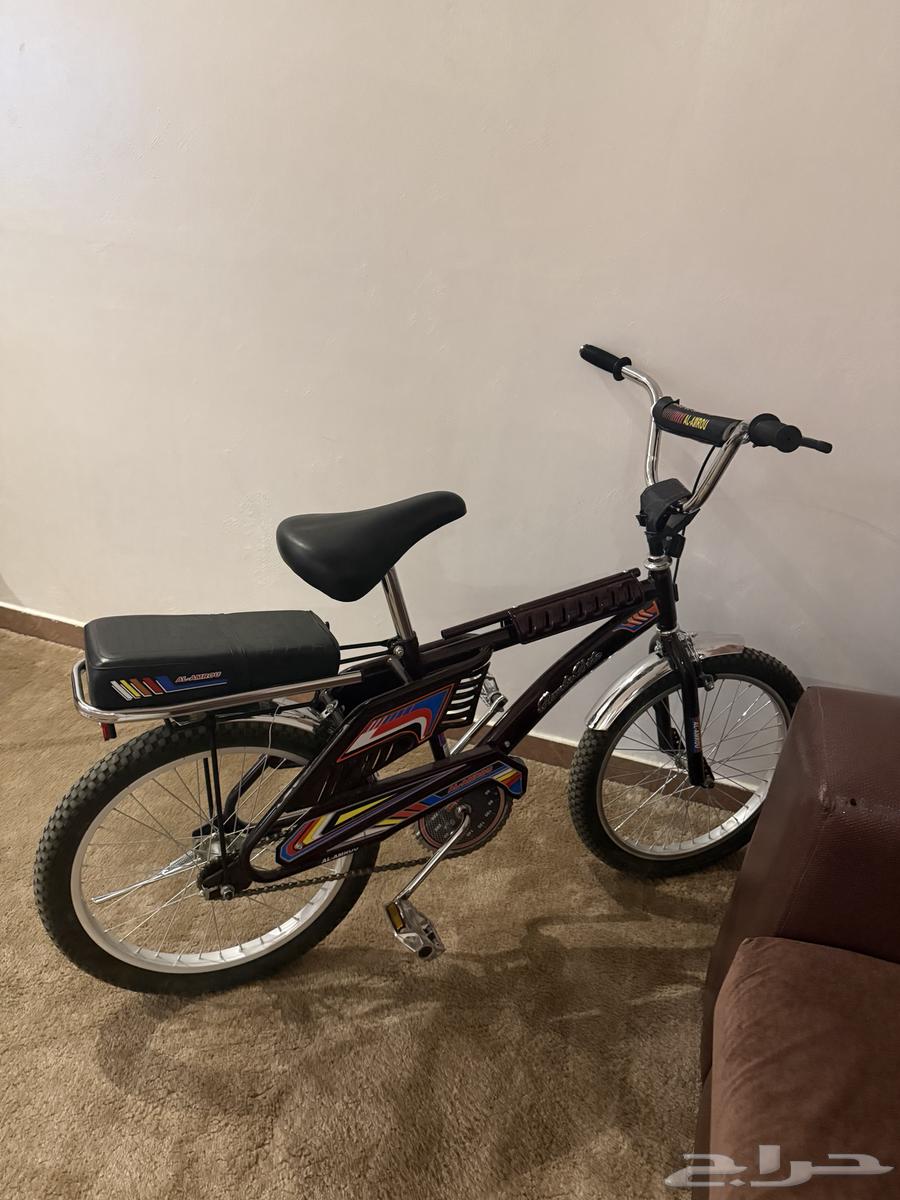 سيكل رامبو عنابي مقاس 2064569288679938112