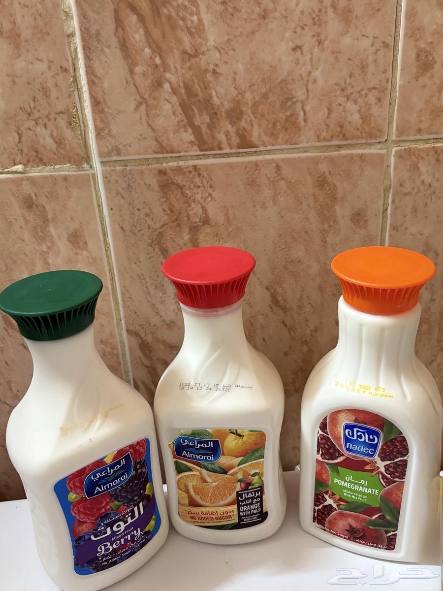 Sheep milk, shaken, clean jarkel for 10 riyals64569740266755111