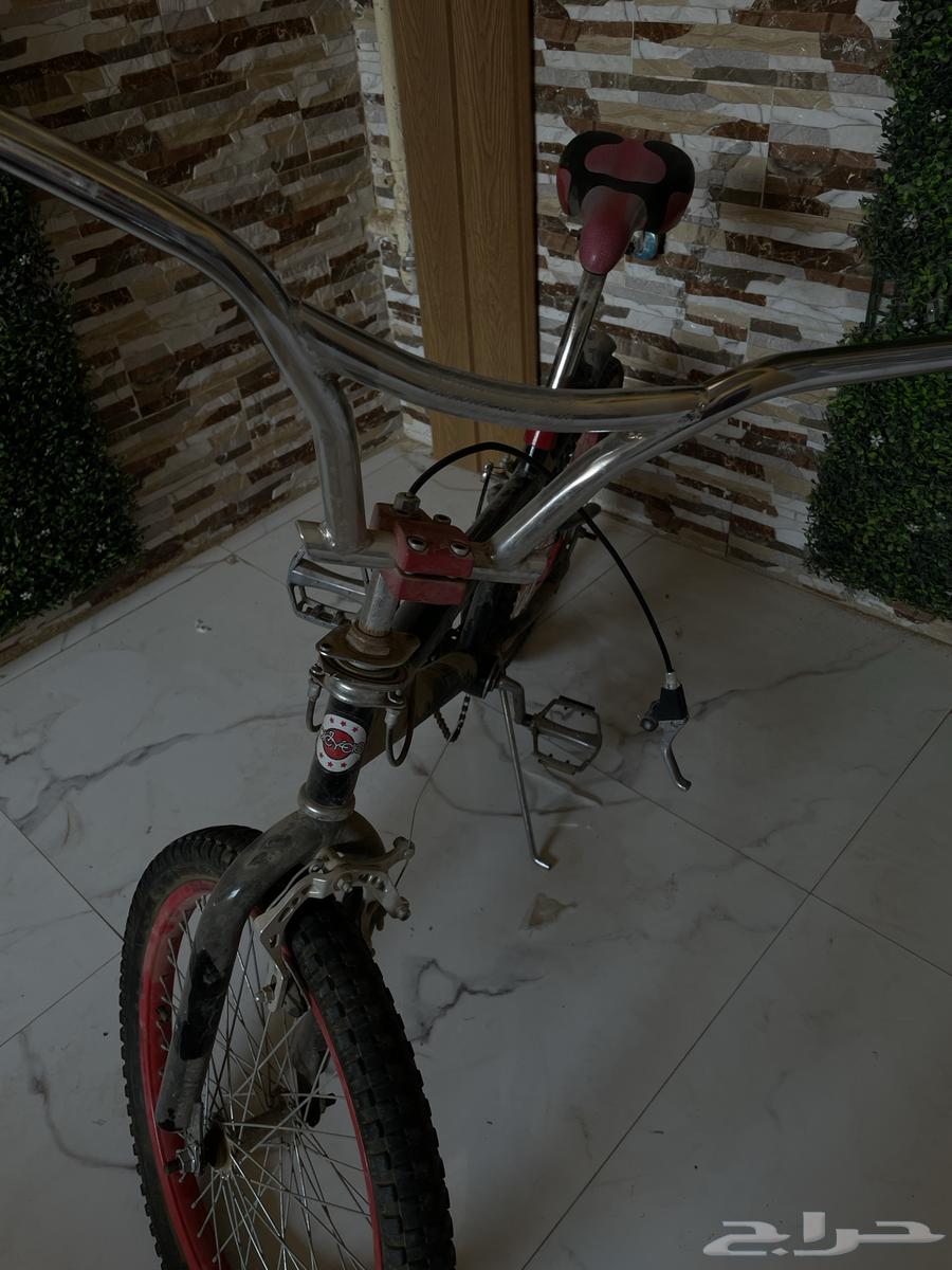 Weighing Scale Size 2064567073756163112