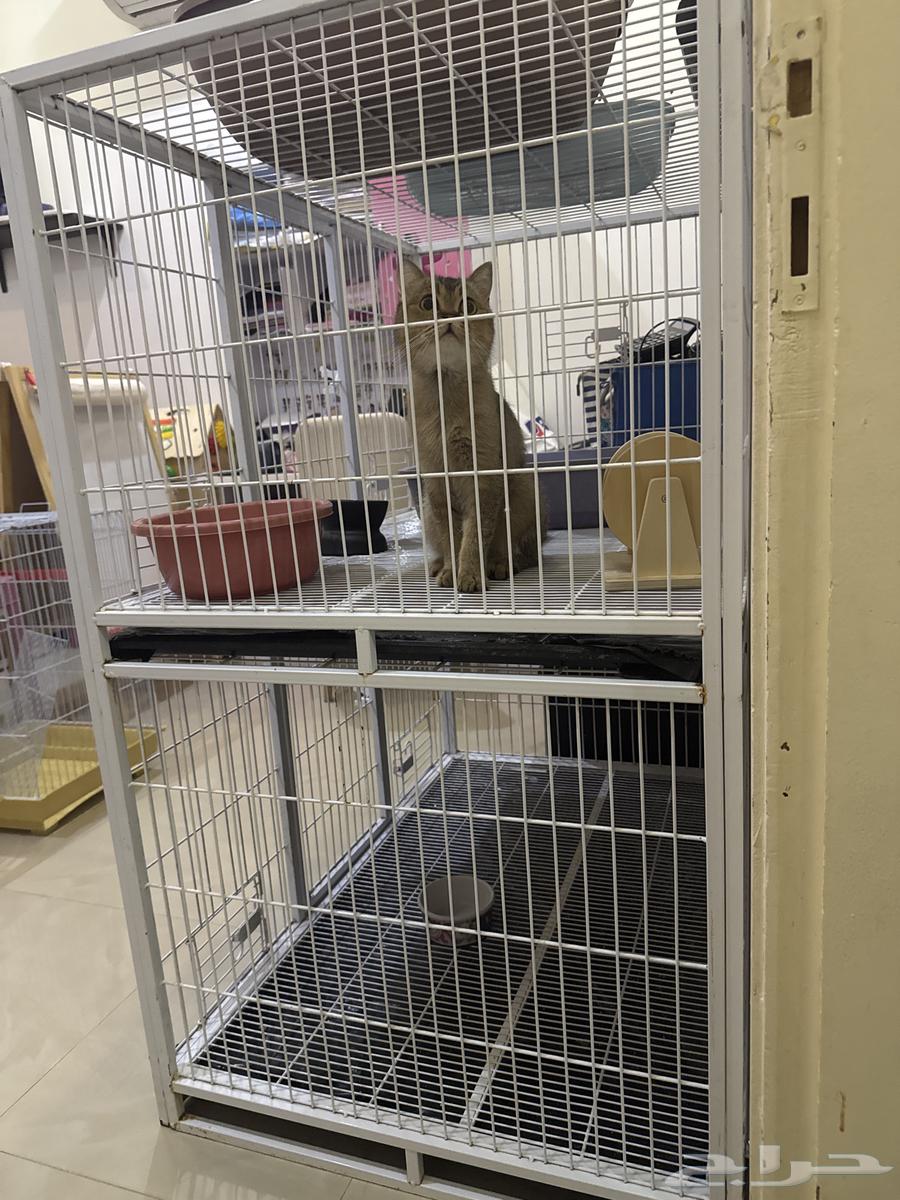 A pet cage, I have one level and two levels64566741978883112