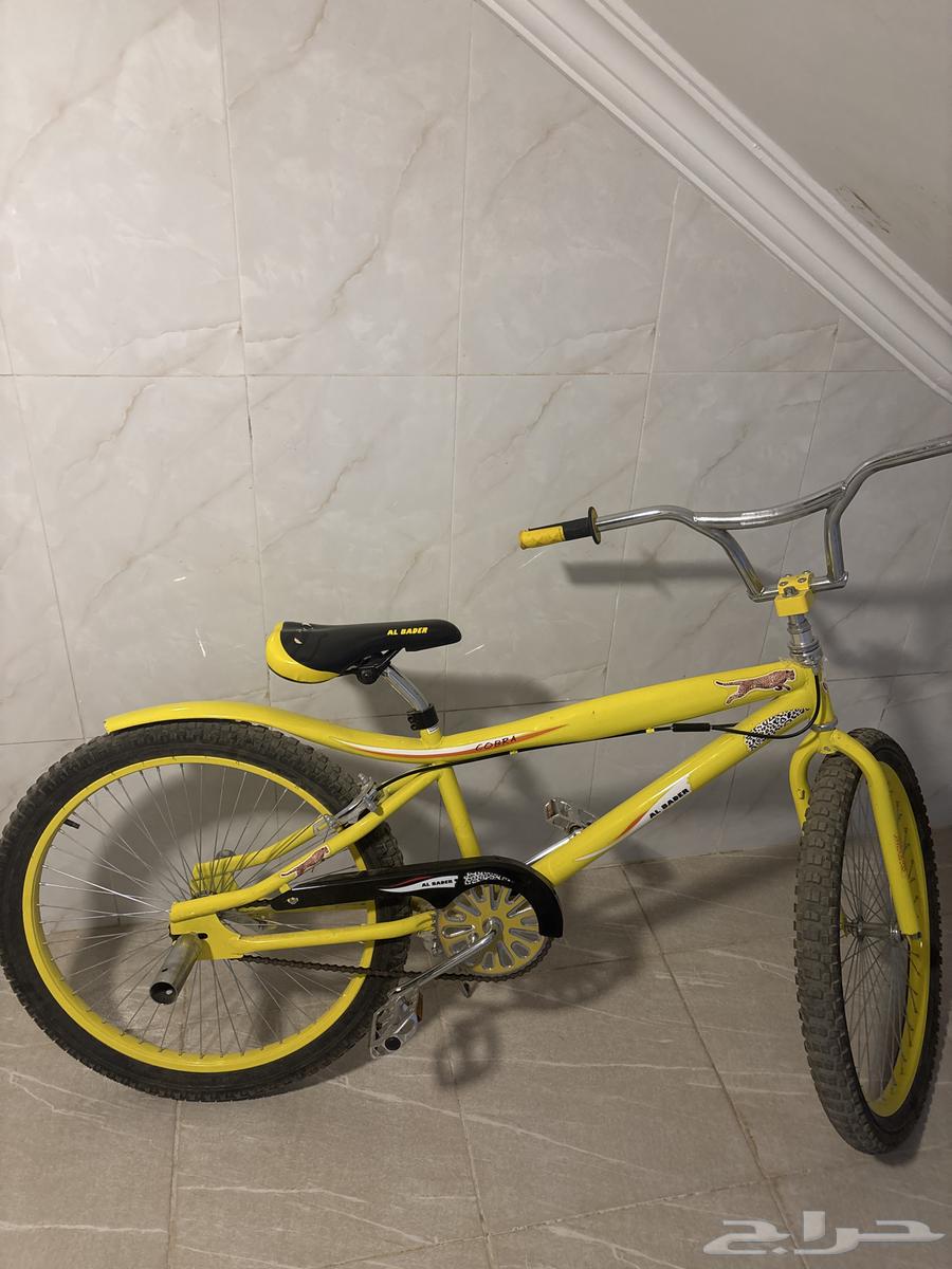 سيكل كوبرا مقاس 2464570298984833110