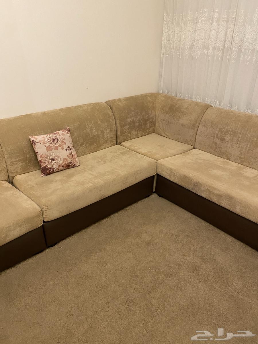 كنب للبيع64569562692354112