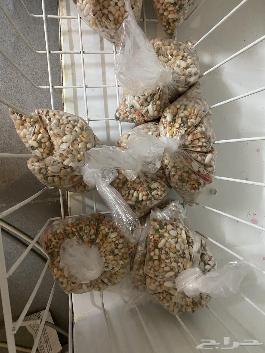 منقوع لطيور64568934131586111