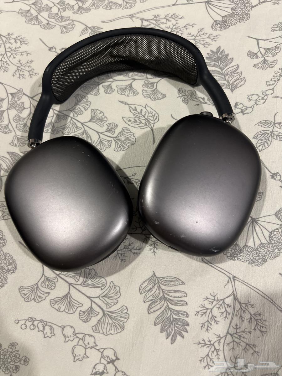 سمعات ابل الاصليه64565536345091113