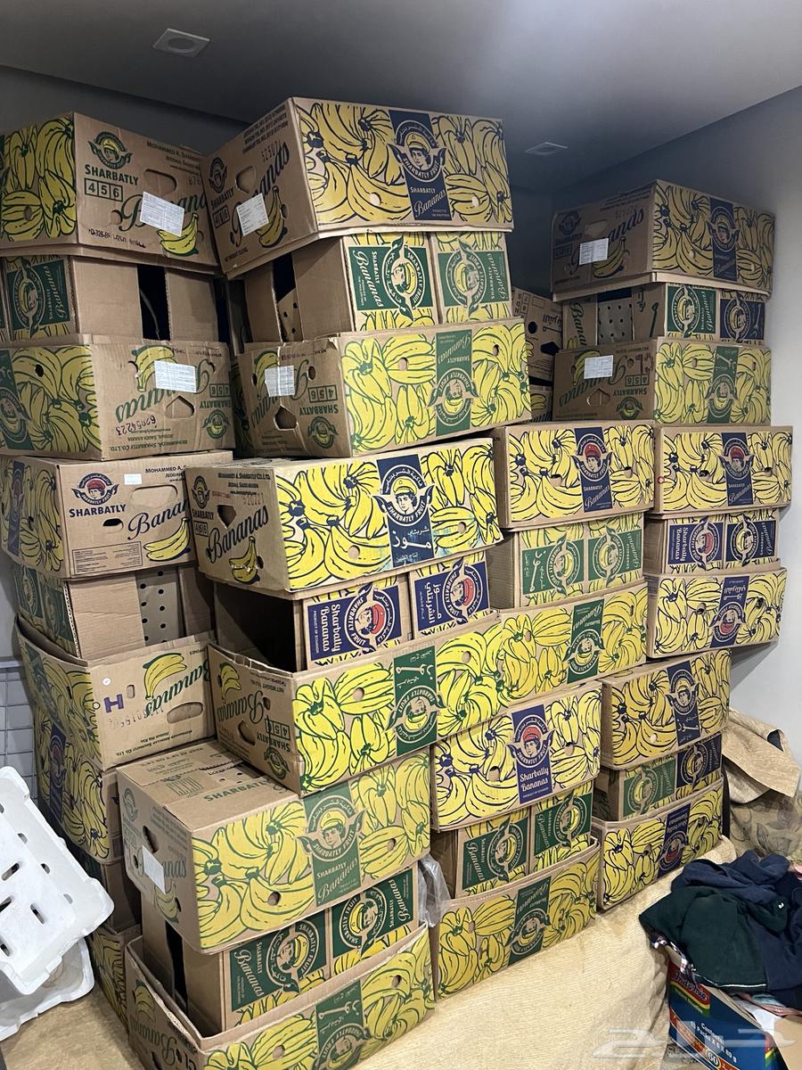 العيينه64563812708867111