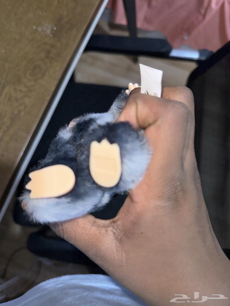 لابوبو سيكرت اصلي للبيع سعر رخيص64565953631233110